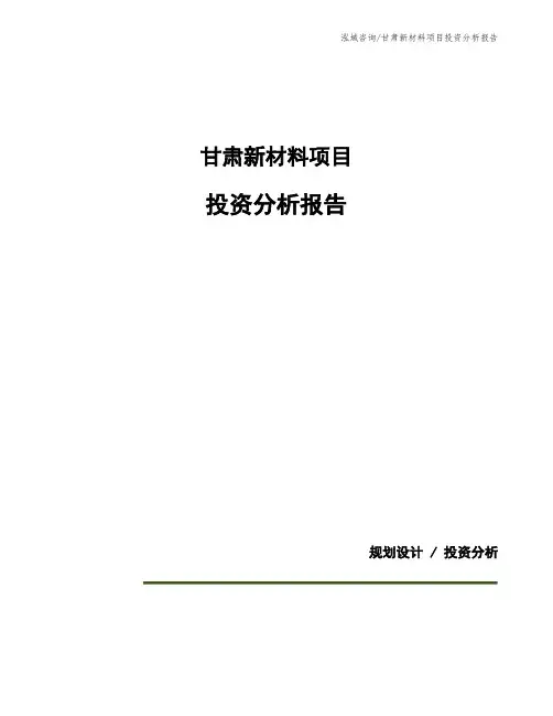 甘肃新材料项目投资分析报告