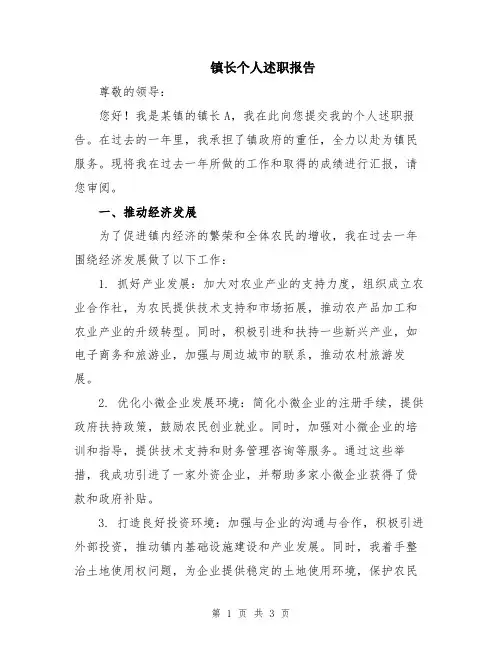 镇长个人述职报告