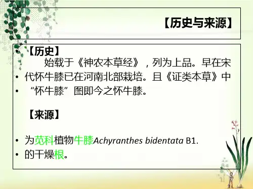 中药鉴定学13-16节_PPT幻灯片