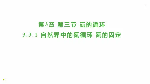 自然界中的氮循环  氮的固定  课件  