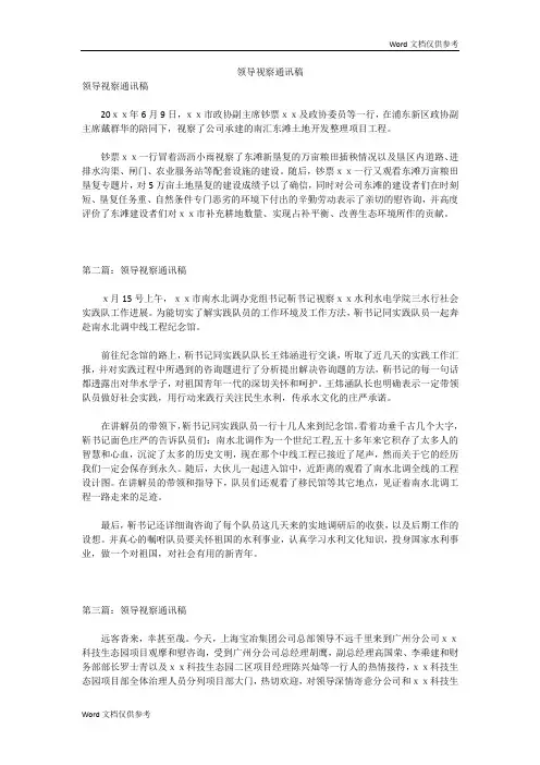 领导视察通讯稿