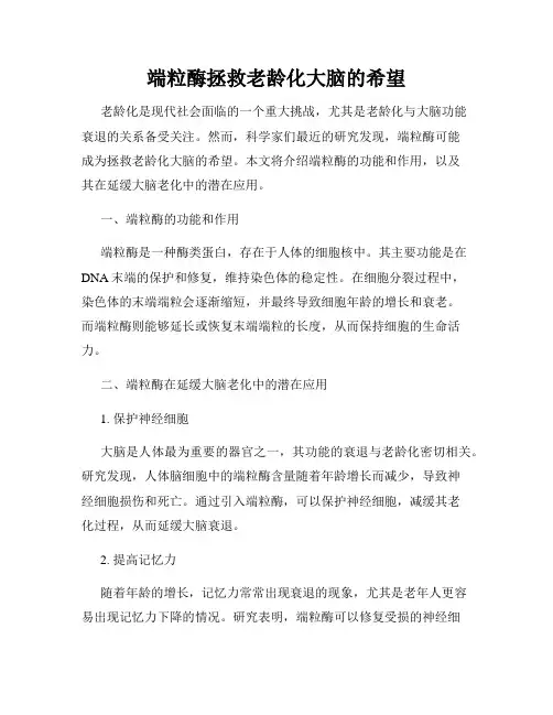 端粒酶拯救老龄化大脑的希望