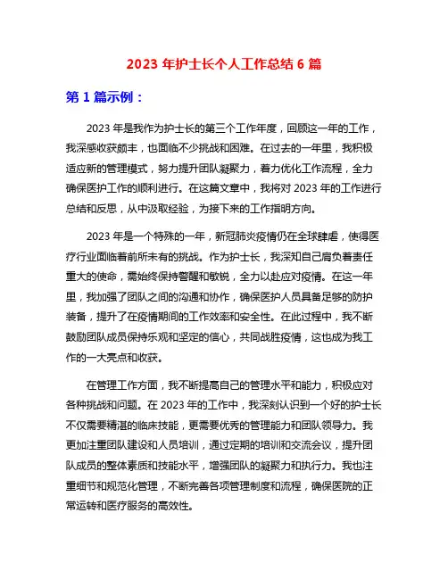 2023年护士长个人工作总结6篇