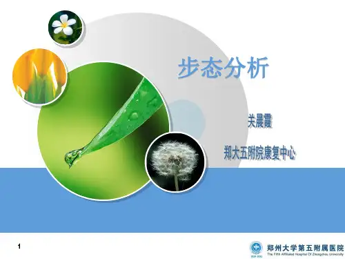 步态分析(精品课件)