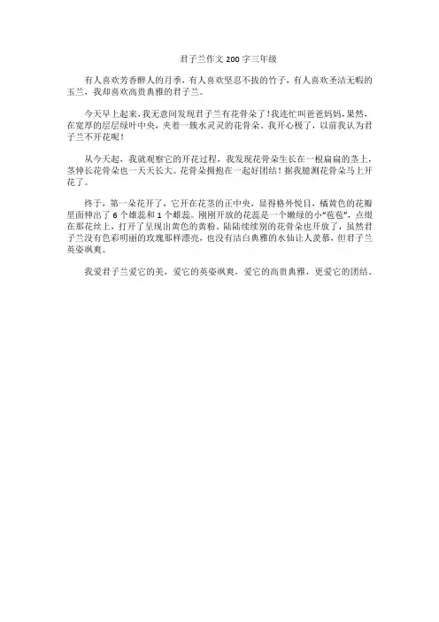 君子兰作文200字三年级