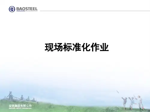 标准化作业(ppt文档可编辑修改)