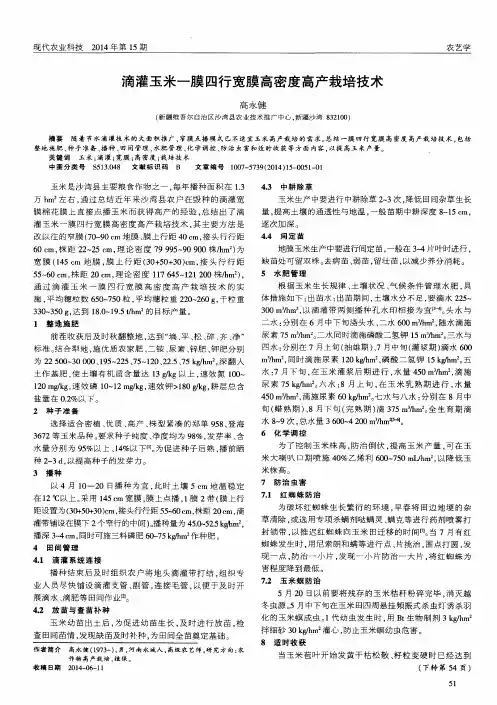 滴灌玉米一膜四行宽膜高密度高产栽培技术