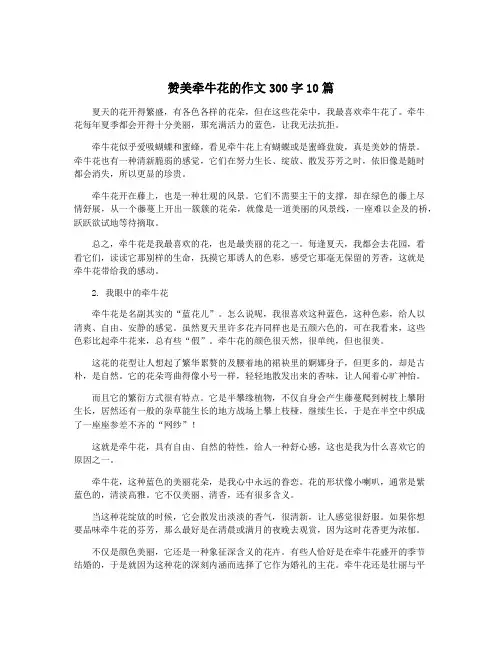 赞美牵牛花的作文300字10篇