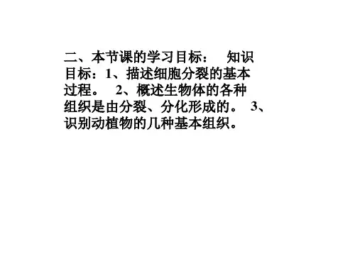浙教版科学《生物体的结构层次》ppt精品课件5