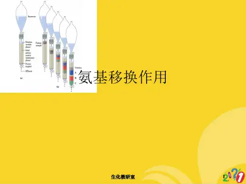氨基移换作用标准版资料