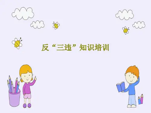 反“三违”知识培训PPT共33页