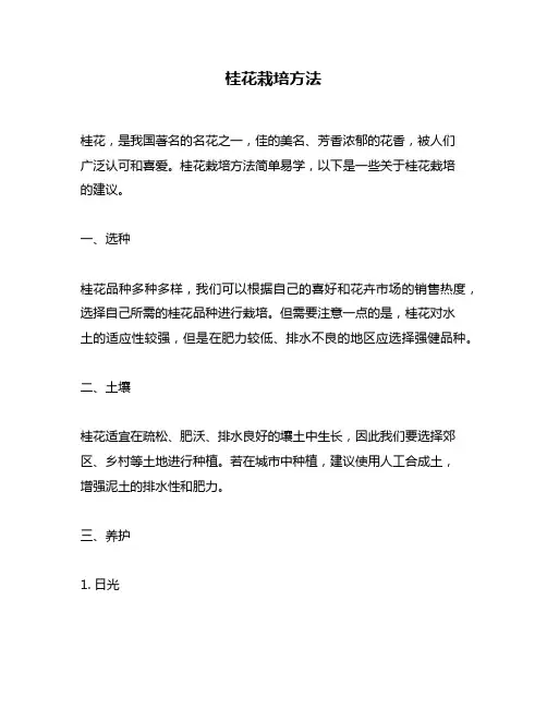 桂花栽培方法