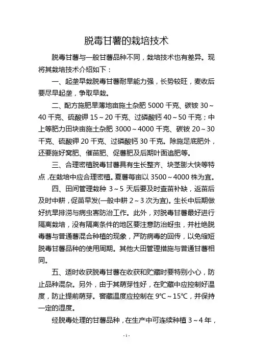 脱毒甘薯的栽培技术