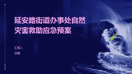 延安路街道办事处自然灾害救助应急预案