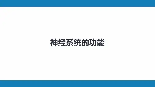 第九版生理学第十章 神经系统的功能(第4~6节)