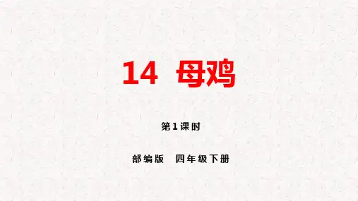 部编版四年级下册语文第14课《母鸡》PPT