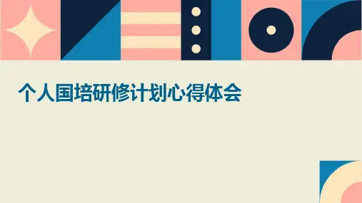 个人国培研修计划心得体会PPT