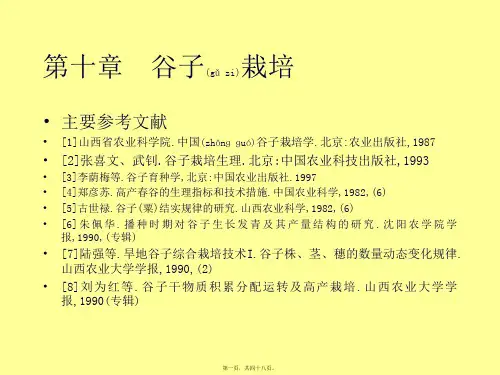 第十章谷子栽培(共48张PPT)