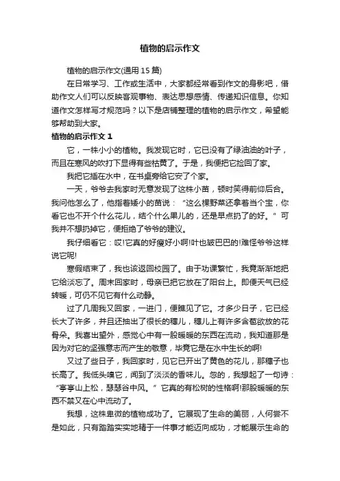 植物的启示作文
