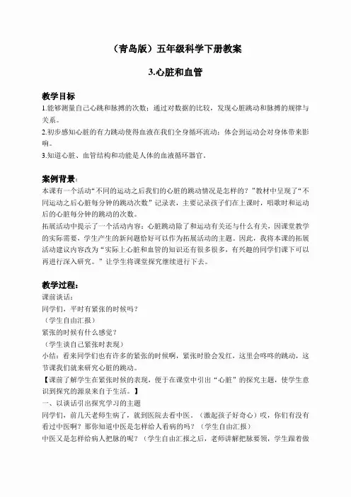 青岛小学科学五下《3.心脏和血管》word教案 (2)