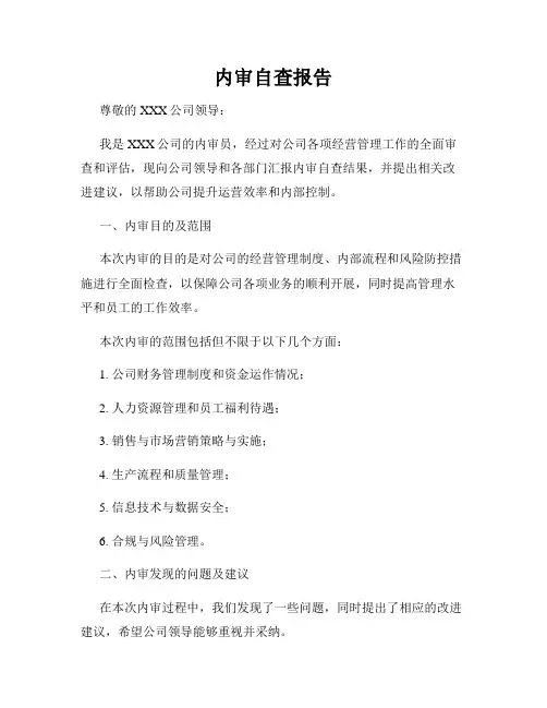 内审自查报告