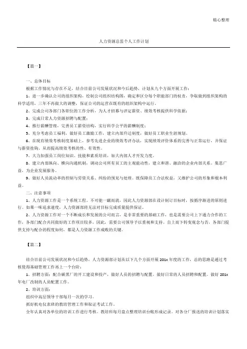 人力资源总监个人工作计划