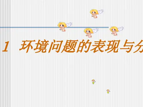 环境问题的表现和分布ppt 人教版