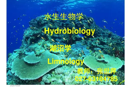 水生生物学课件1-09-2-12水生生物学湖沼学