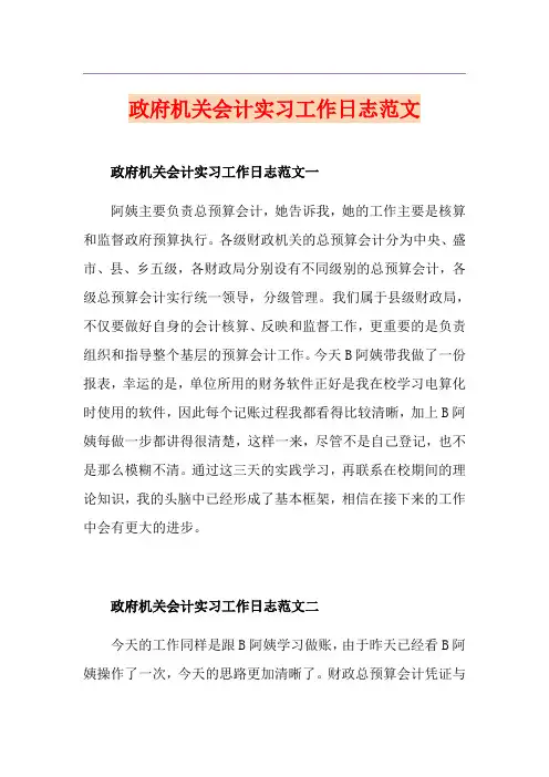 政府机关会计实习工作日志范文