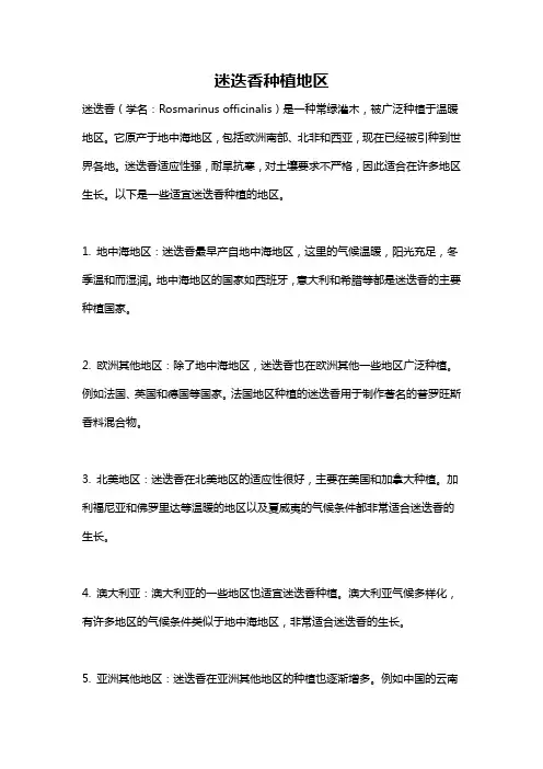 迷迭香种植地区