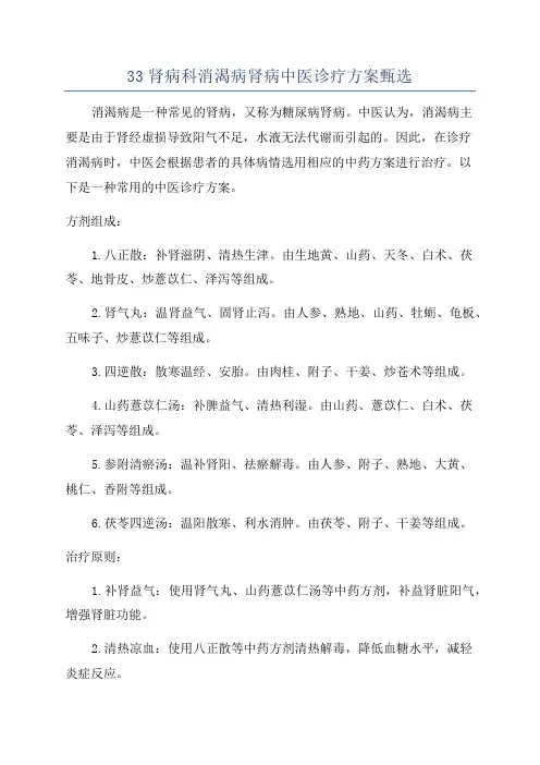33肾病科消渴病肾病中医诊疗方案甄选