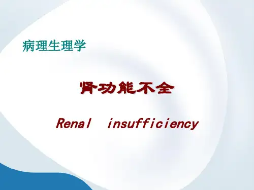 病理生理学——肾功能不全