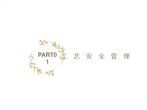 工艺安全管理系统培训