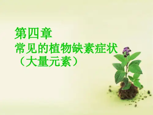 1作物缺素症图片PPT课件