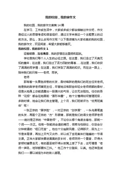 我的校园，我的家作文