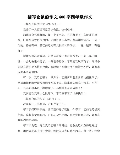 描写仓鼠的作文400字四年级作文