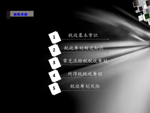 税收筹划与合理避税-243页PPT.pptx