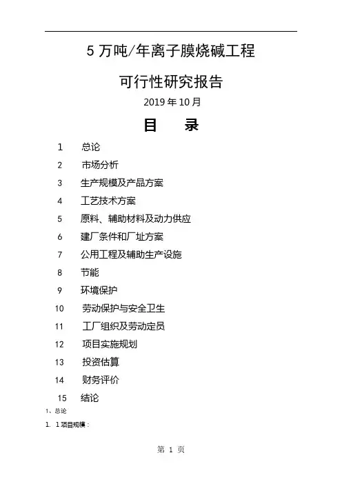 万吨离子膜烧碱工程可行研究报告精品-19页文档资料