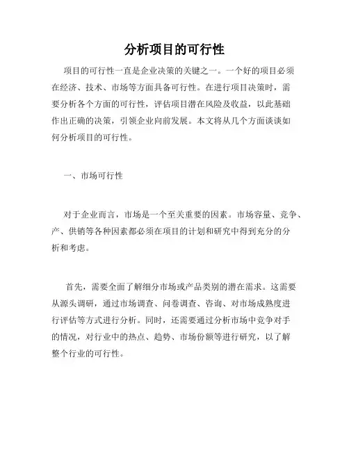 分析项目的可行性