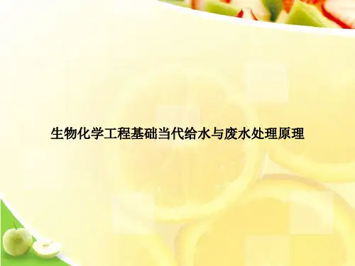 生物化学工程基础当代给水与废水处理原理优选演示