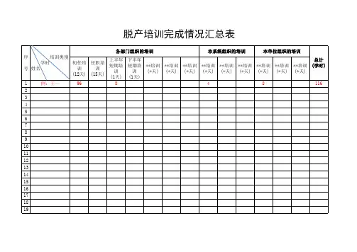 脱产培训完成情况统计表