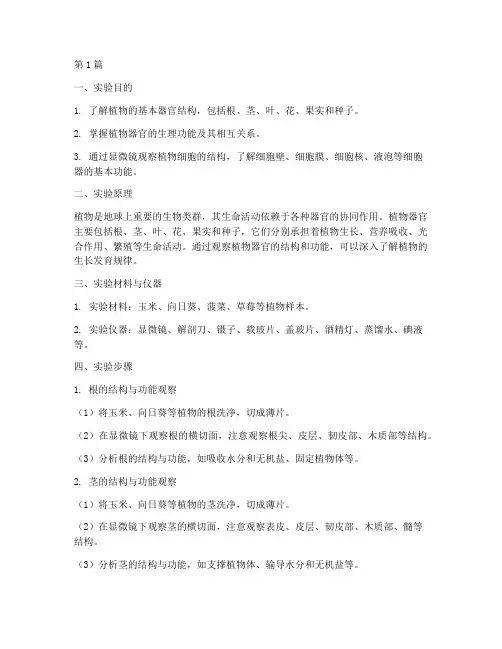 植物的身体实验报告(3篇)