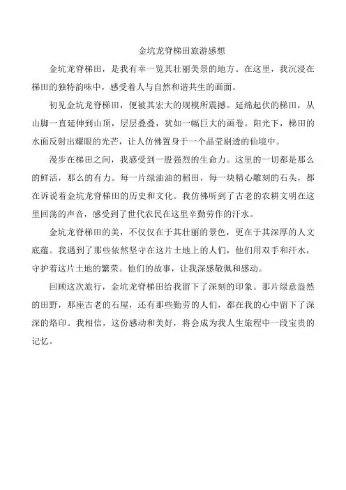 金坑龙脊梯田旅游感想