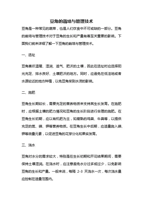 豆角的栽培与管理技术