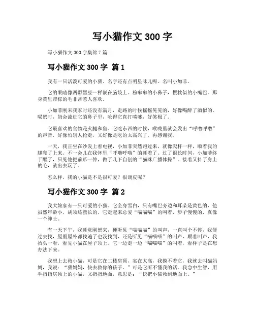 写小猫作文300字