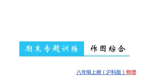 第6章期末专题训练  作图综合—2020秋沪科版八年级物理(上册)教用习题课件