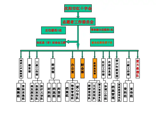 05志愿者组织架构图