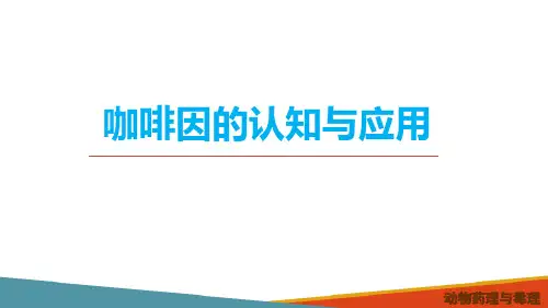 作用于中枢神经系统药物—中枢兴奋药(动物药理学课件)