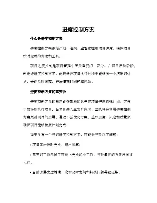 进度控制方案