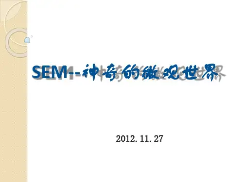 扫描电子显微镜-SEM-2 材料研究方法与实验